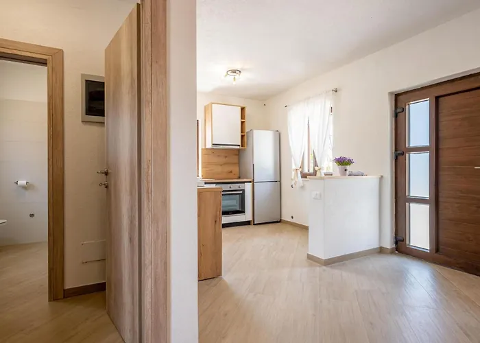 Vakantiehuis Balarini By Interhome Vodnjan